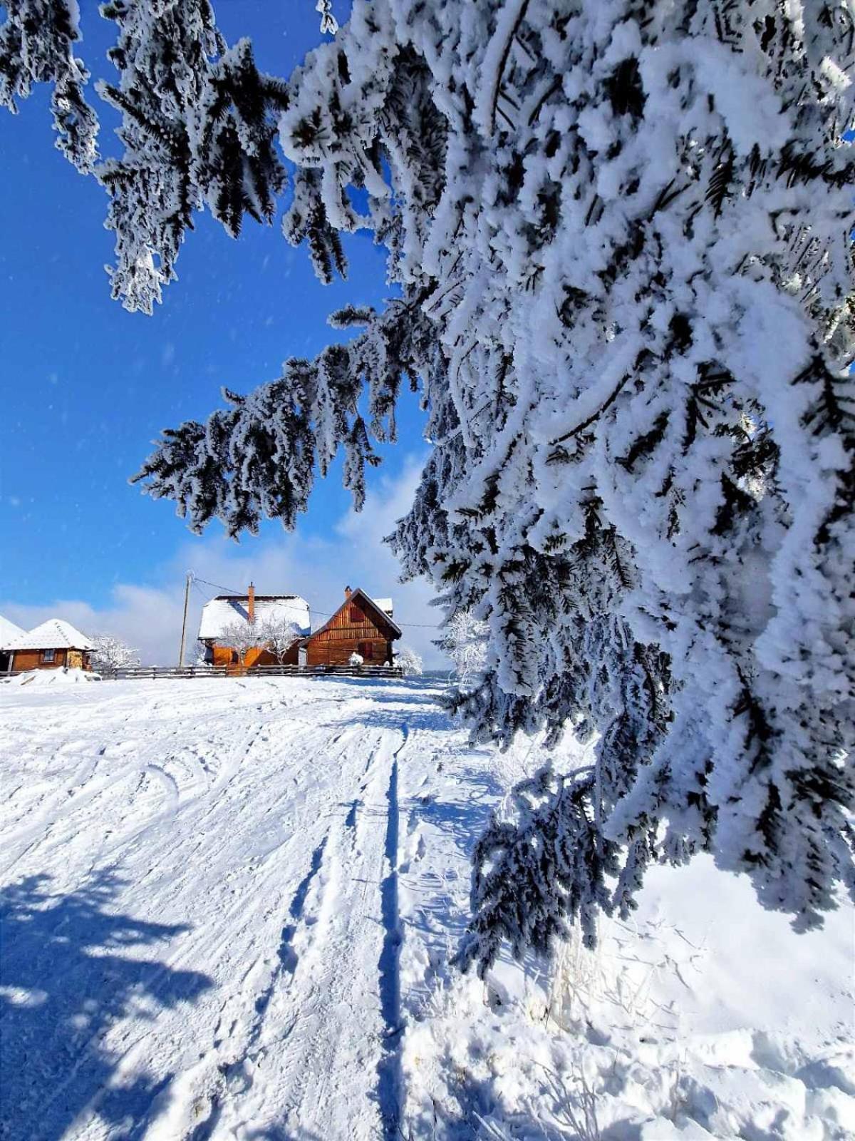 Villa Brvnare Na Brdu Sljivovica  Exterior foto