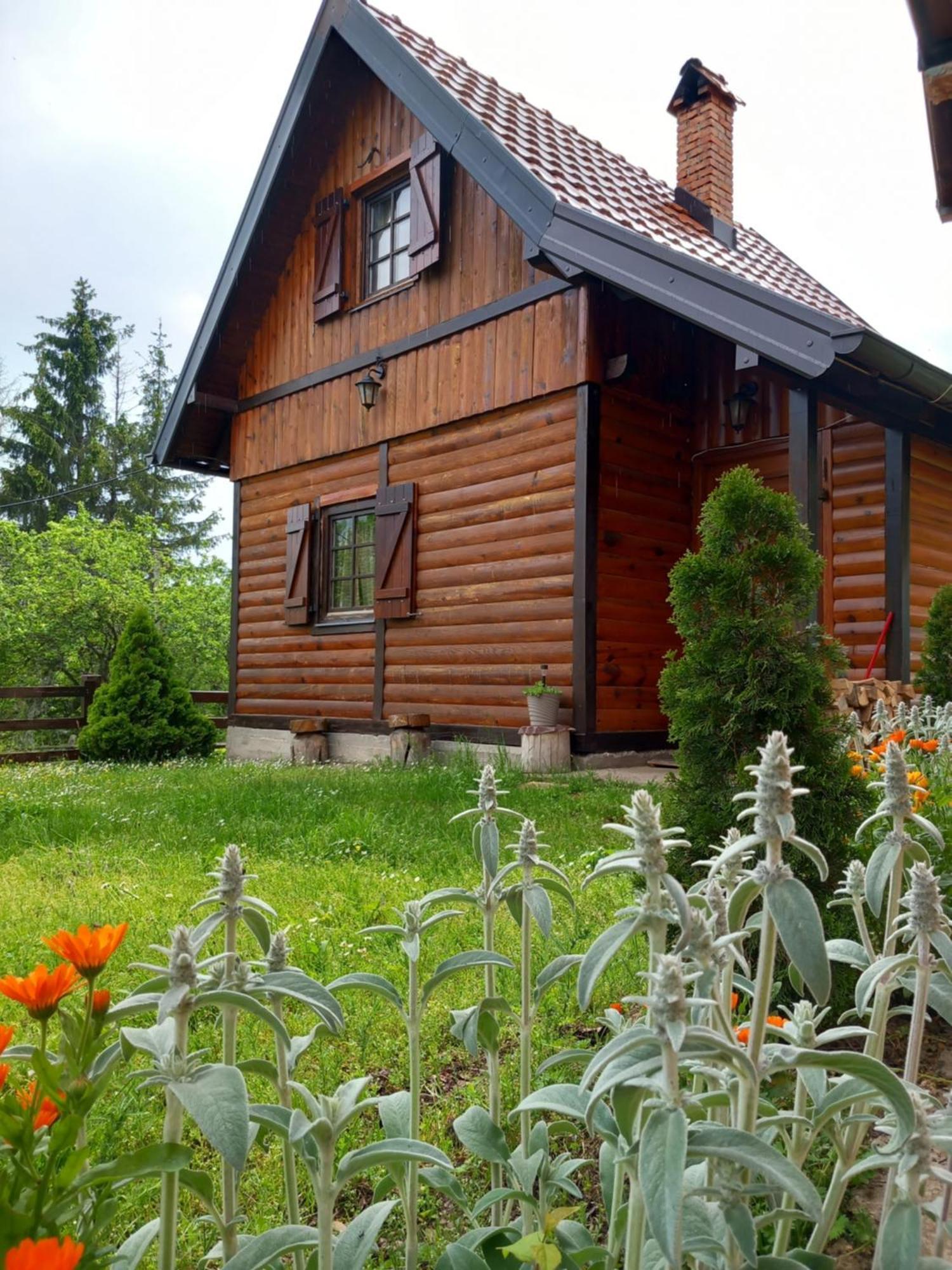 Villa Brvnare Na Brdu Sljivovica  Exterior foto
